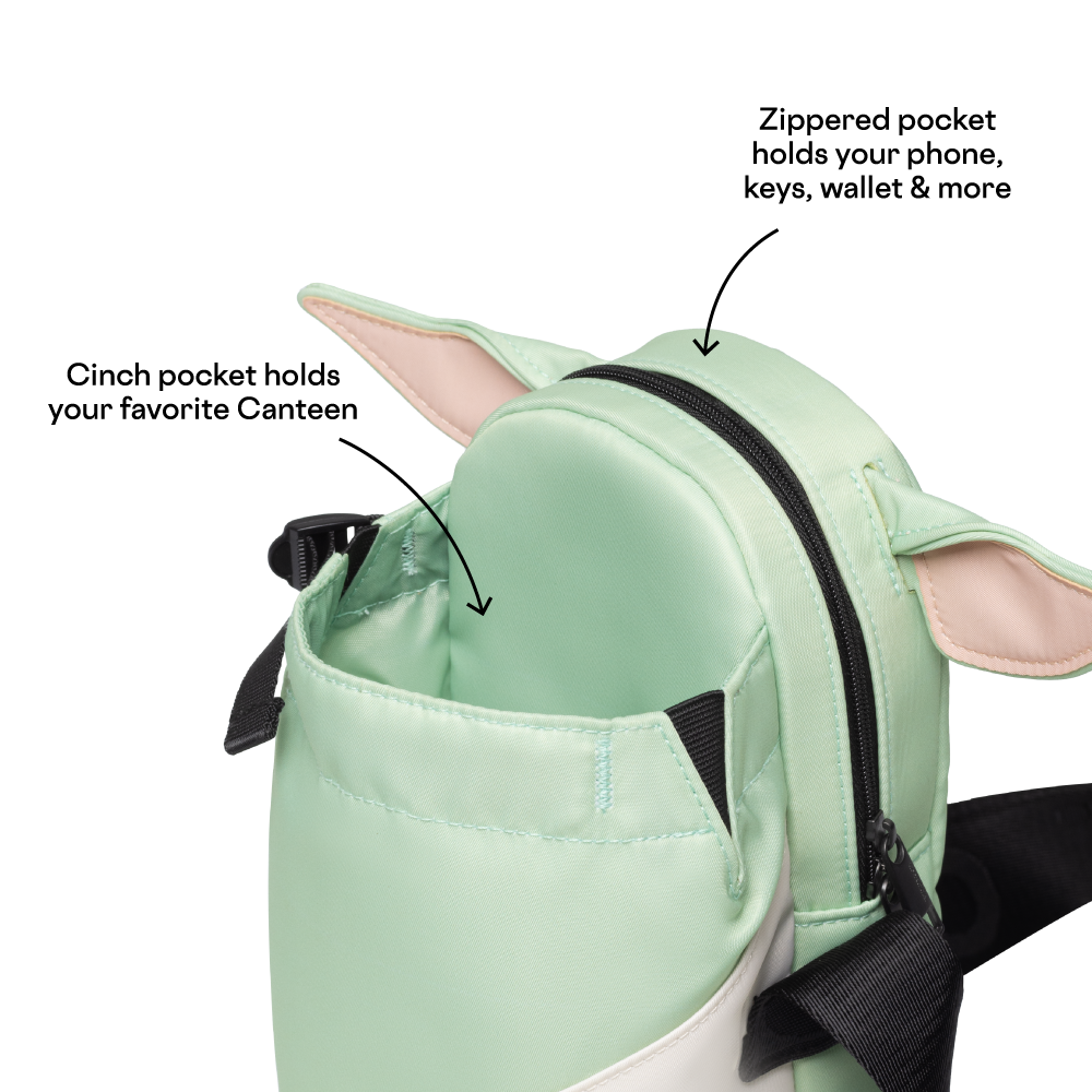 disney-sling-c5 53593b3e49e2--Sling-PDP-4.png
