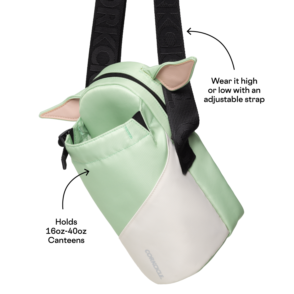 disney-sling-c5 a3030aa5d2d8--Sling-PDP-5.png